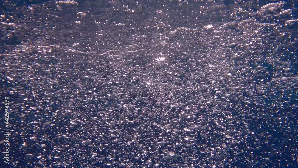 Slow motion of air bubbles floating from sea bottom to the water surface. Air bubbles in the blue water Slow motion of air bubbles floating from sea bottom to the water surface. Air bubbles in the blue water