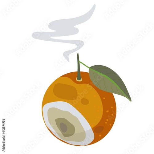 Organic waste template. Bad rotten Orange fruit isolated on white. Citrus fruit becomes spoiled. Food waste. Rotten Orange with Stinky Rot. Bad smell from mold on Citrus