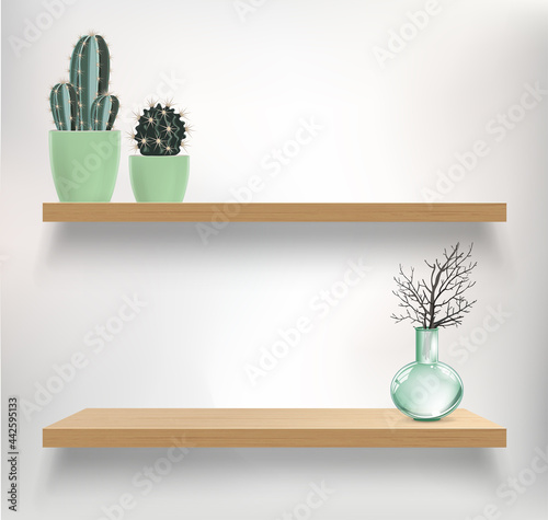 Vector wooden shelves with plants and glass retro vase. Vector mockup for interior with shelves and light wall