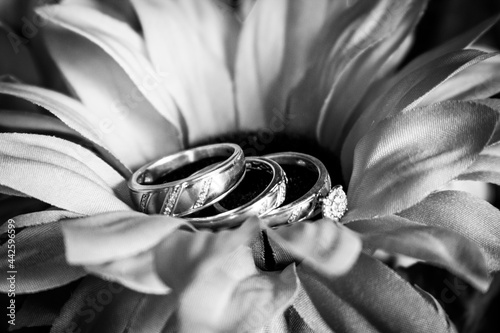 wedding rings and bouquet