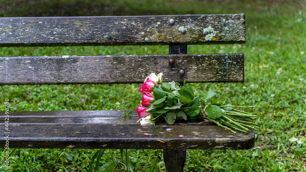 Naklejka premium Bouquet of roses, white and pink, abandoned on a wooden bench, in the middle of a park, on a rainy day