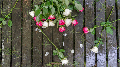 Fototapeta Naklejka Na Ścianę i Meble -  Bouquet of roses, white and pink, thrown over the wooden bridge to the lake on a rainy day
