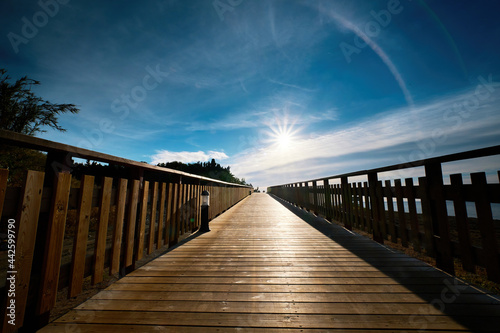 The sun on the wooden boardwalk, next to the beach, in the warm morning sun, you can stroll along the boardwalk. © Daniel