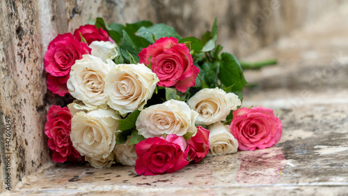Close-up on a bouquet of roses, white and pink, on a paved outdoor floor, in rainy weather