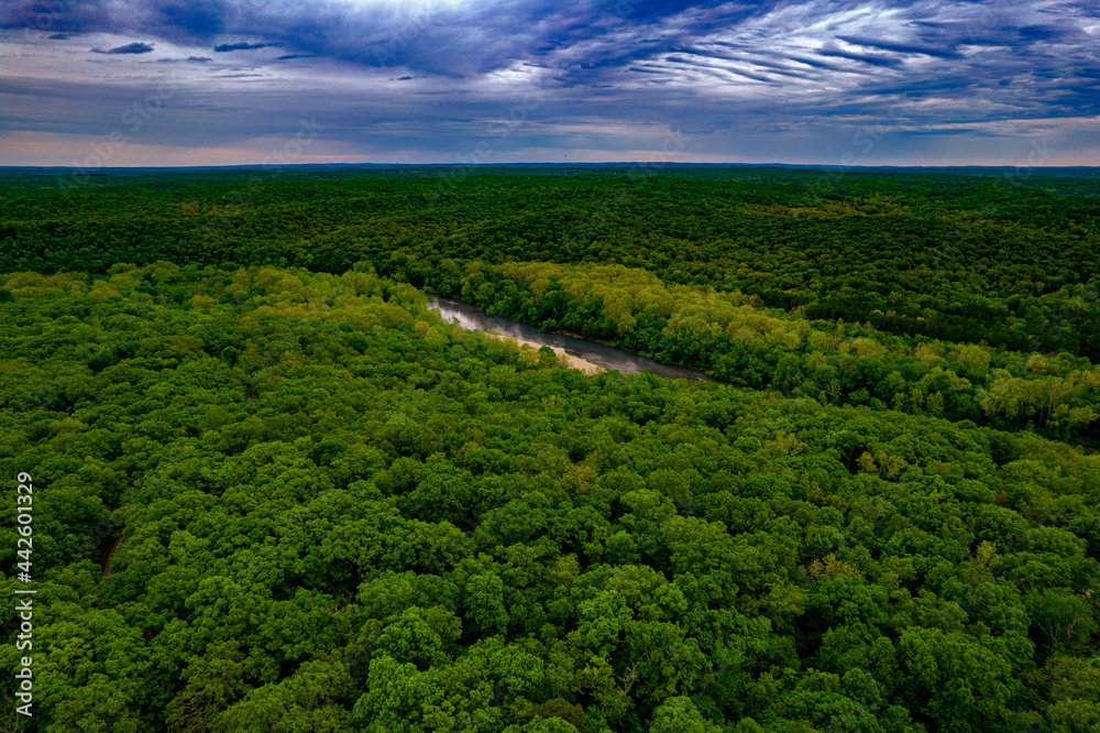 Forest Landscape Aerial - Storm Clouds