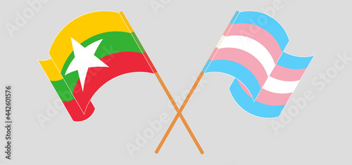 Crossed and waving flags of Myanmar and Transgender Pride