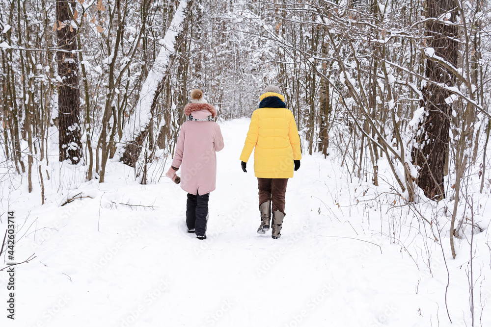 A woman with a teenage child in bright jackets are walking in a winter snow-covered forest. People, lifestyle concept