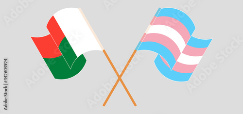 Crossed and waving flags of Madagascar and Transgender Pride
