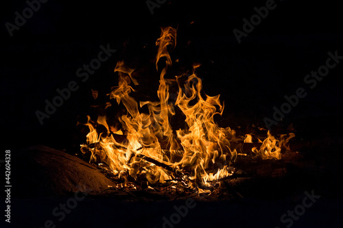 A bright bonfire on a solid black background. Flames of fire look like different shapes and objects
