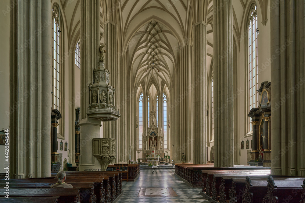 The Church of St James in Brno The Church of St James in Brno