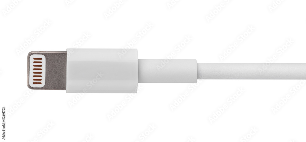lightning plug path isolated on white lightning plug path isolated on white