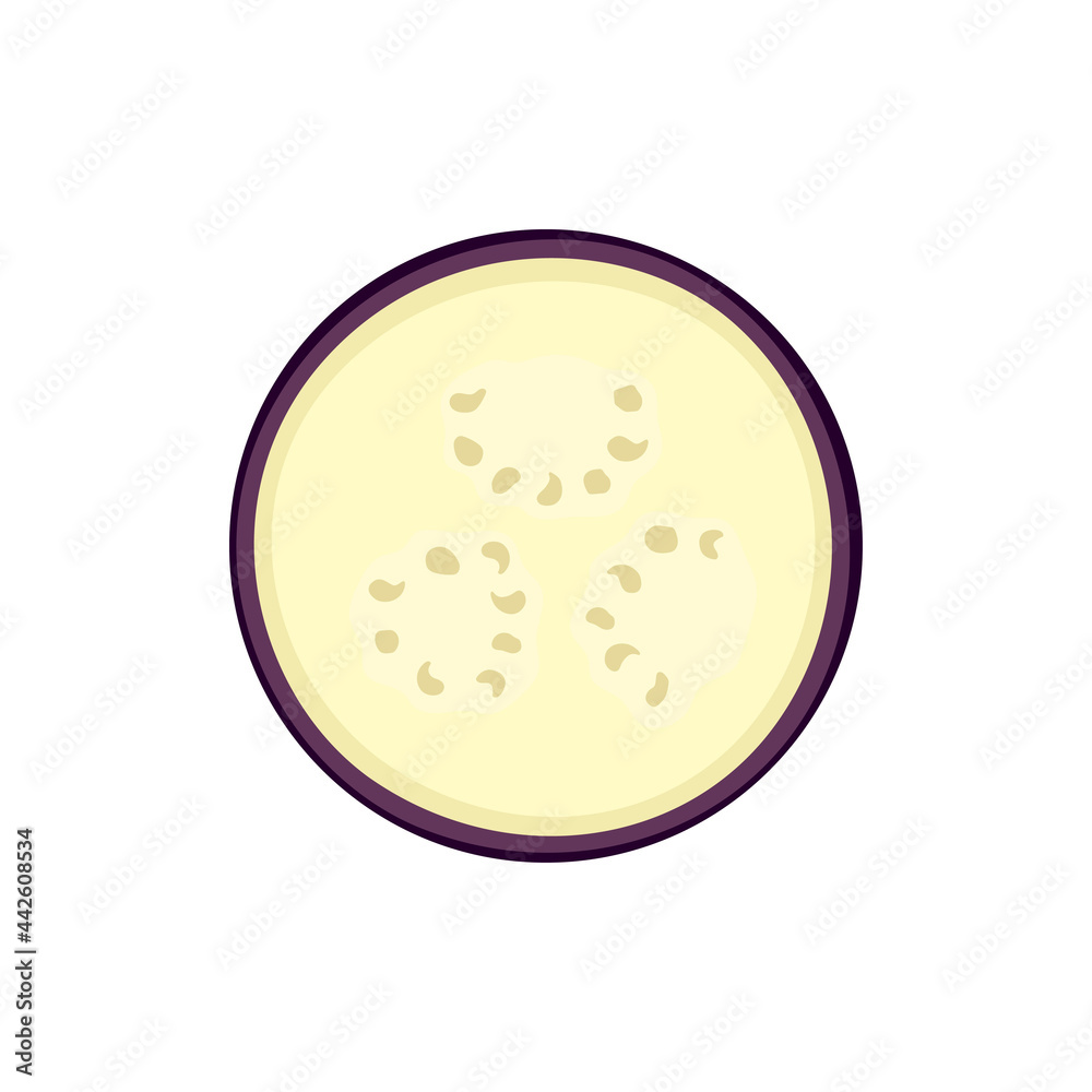 round slice of eggplant isolated on white round slice of eggplant isolated on white