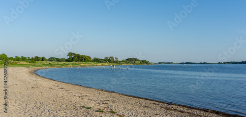 tourists enjoy an evening on the pier and beach at Middelfart harbor photo