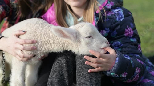 petite fille avec agneau
