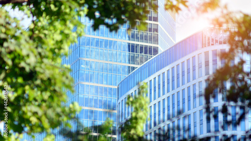 Eco architecture. Green tree and glass office building. The harmony of nature and modernity. Reflection of modern commercial building on glass with sunlight. 