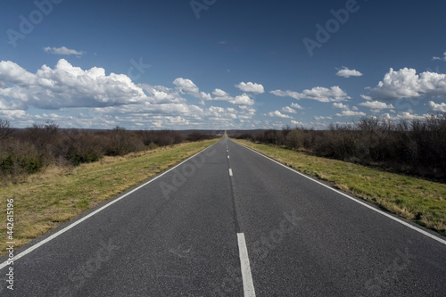 Route in the Pampas plain, Patagonia, Argentina © foto4440