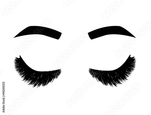 Illustration with eyelashes and eyebrows. Beautiful eyes makeup look. Design for brow and lash salon.