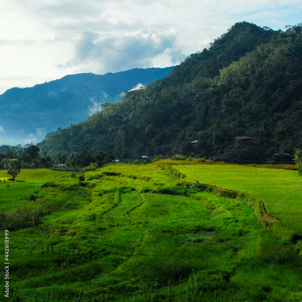 landscape with green grass and clouds landscape with green grass and clouds