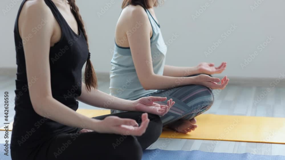 Yoga home Relax for body and soul yoga practitioners meditate in room Spbi Yoga home Relax for body and soul yoga practitioners meditate in room Spbi