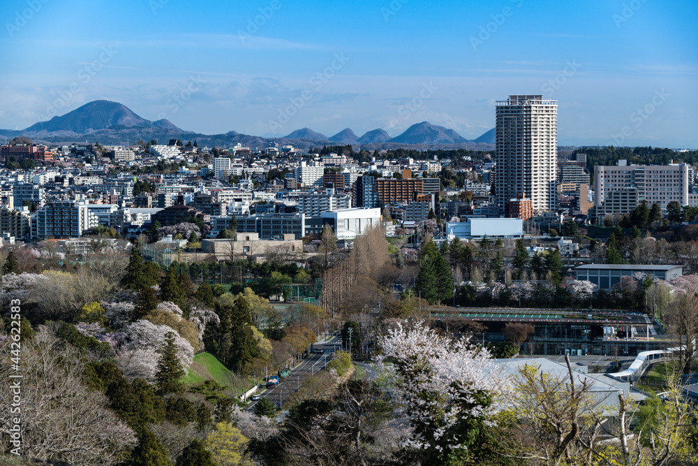 日本　春の仙台城址からの仙台市街眺望