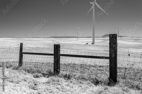 Wind farm turbines and airfoil in a field