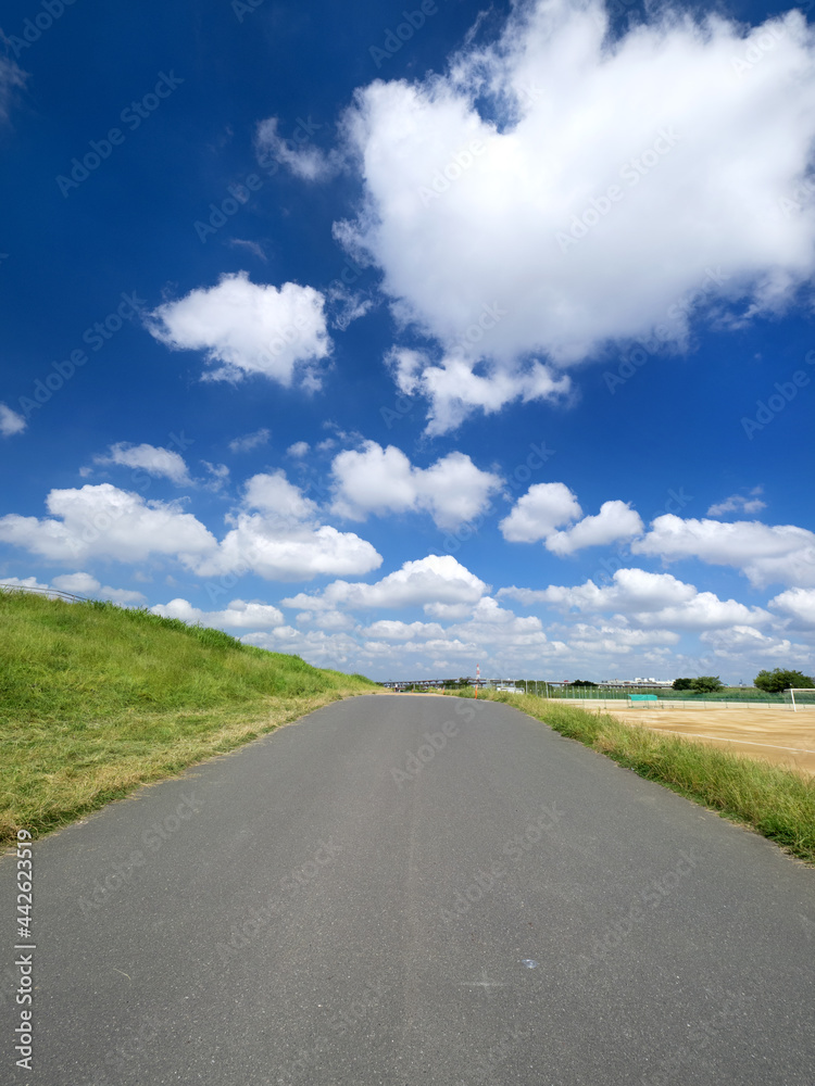 初夏の青空と道