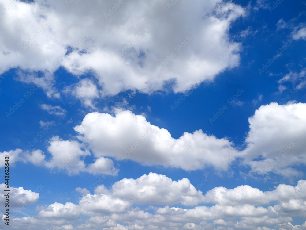 Fototapeta premium 初夏の青空と雲 タイトル