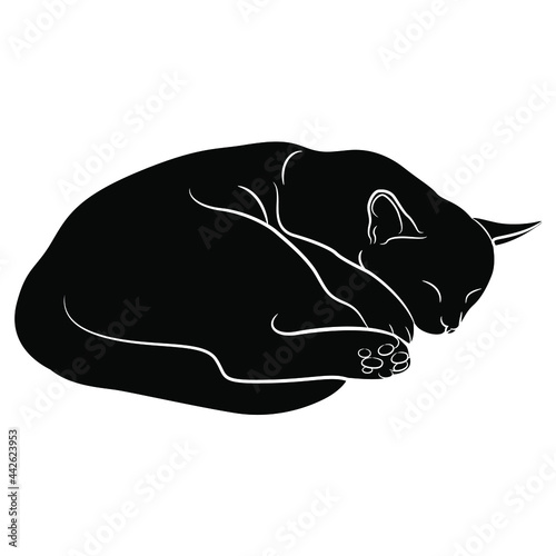 Sleeping cat. Black and white negative silhouette.