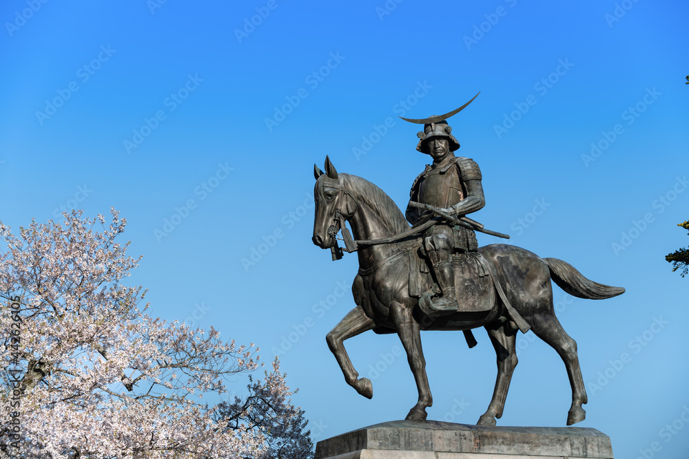 日本仙台市青葉城址の伊達政宗公騎馬像とさくらstock Photo Adobe Stock