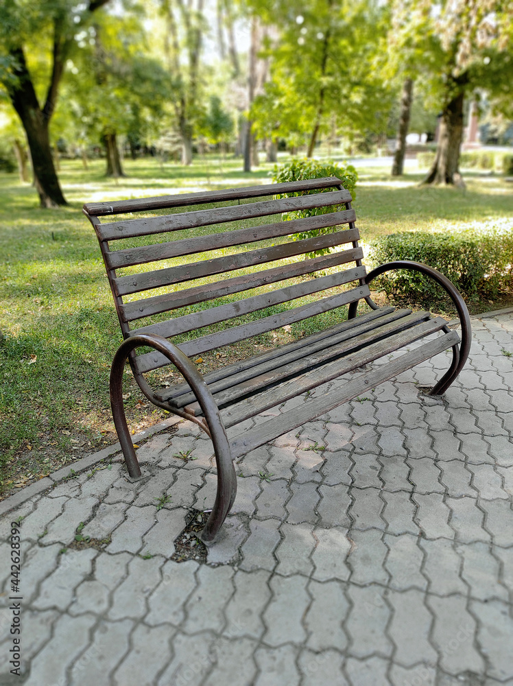 Lonely bench in a city park among green trees in summer Lonely bench in a city park among green trees in summer