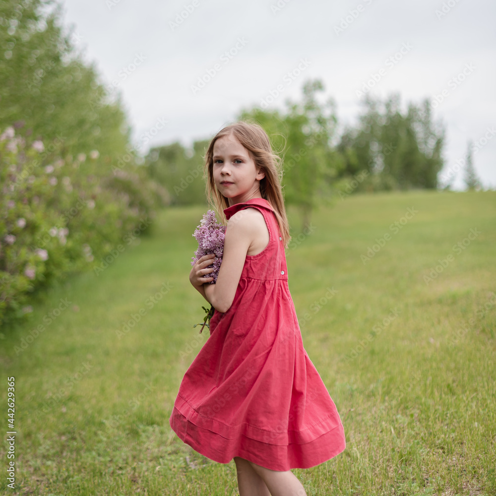 portrait of little girl with a syringa flowers portrait of little girl with a syringa flowers