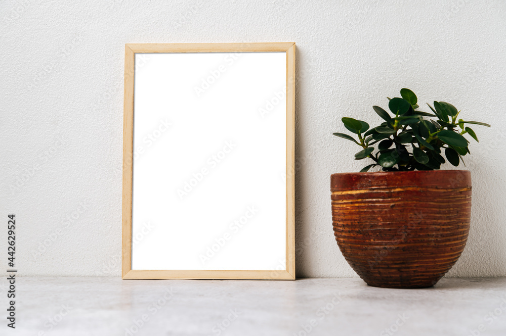 Standing picture frame with small potted plants Standing picture frame with small potted plants