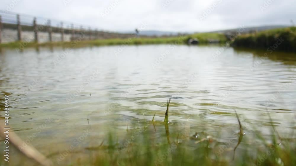 rack focus on a natural lake on the ecuadorian highlands rack focus on a natural lake on the ecuadorian highlands