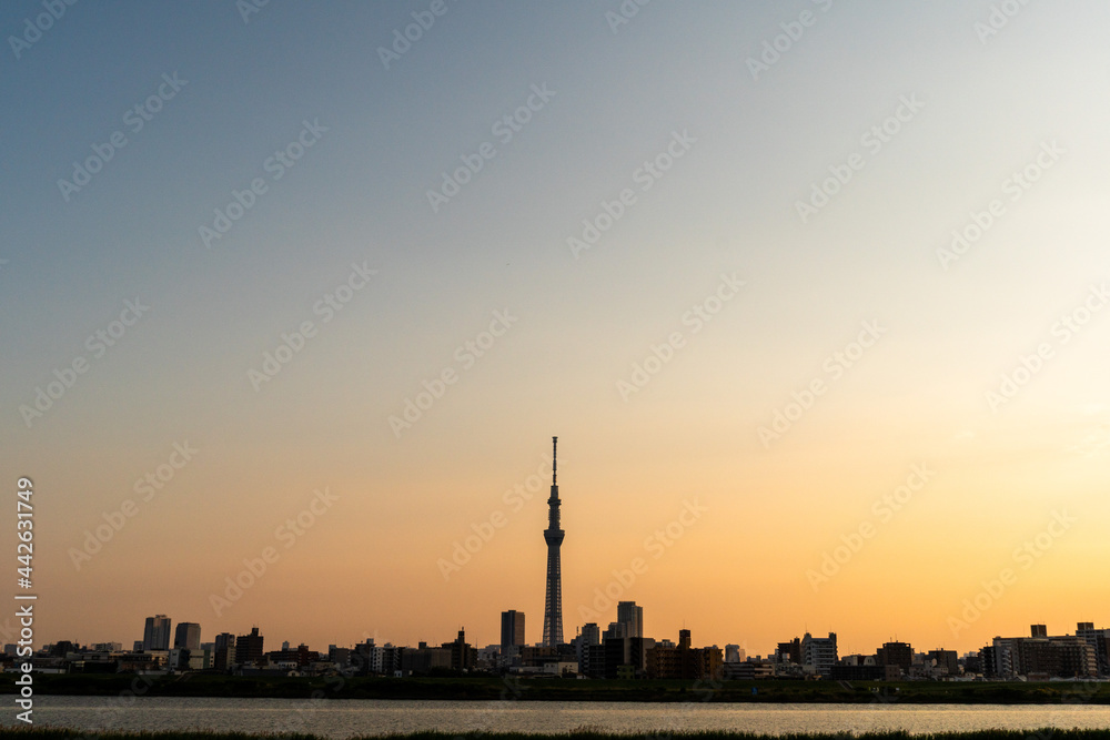 夕暮れに染まる東京の町とスカイツリーのシルエット