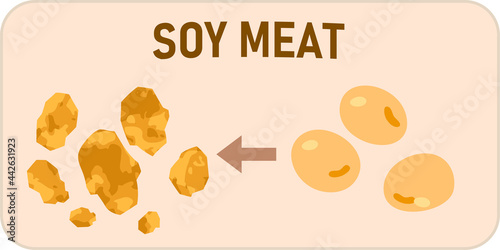 ヴィーガン・菜食主義者のための代用肉のイラスト