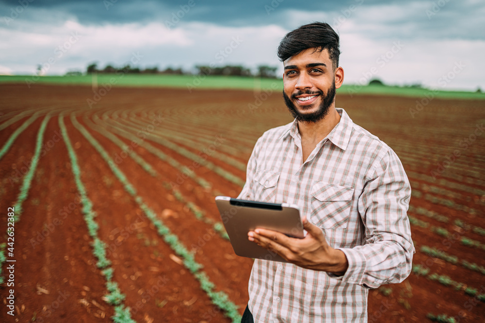 Obraz premium Young Latin farmer working with digital tablet on peanut plantation. Brazilian farmer looking at camera.