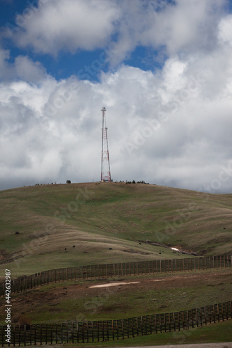 Cellphone tower in a field 