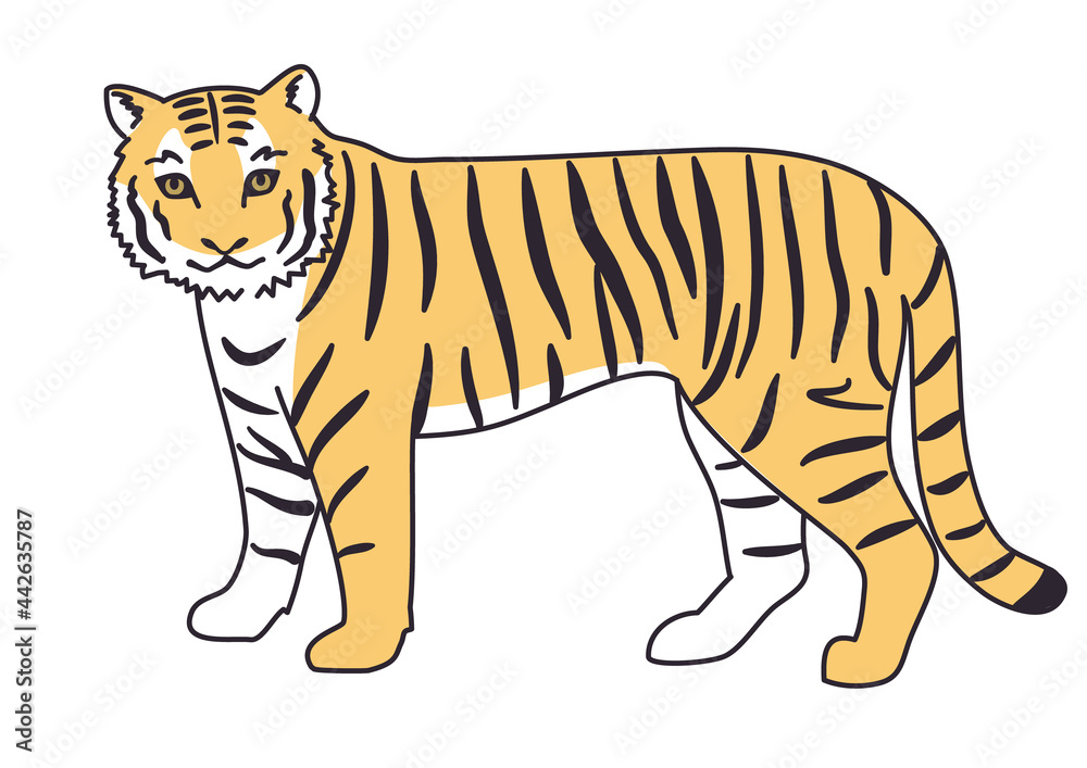 Naklejka premium 立ってこちらを見る虎