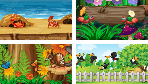 Four different nature horizontal scene