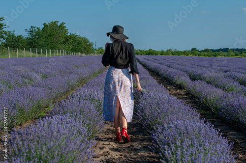 Woman in a straw hat in the blooming lavender field from the back
