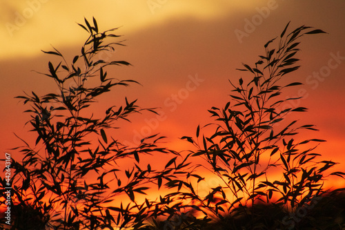 Fire in the sky - sunset after a winter storm on the Garden Route in South Africa