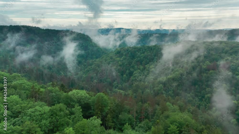 Aerial view of the vast forests of the famous Moravian Karst region. Thin fog hanging in the air rising from the forest ridden by the caves below. A dense forest stretches up to the horizon. Aerial view of the vast forests of the famous Moravian Karst region. Thin fog hanging in the air rising from the forest ridden by the caves below. A dense forest stretches up to the horizon.
