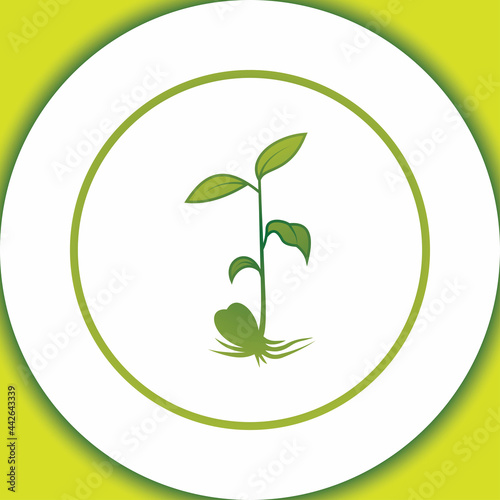 Simple sprouting seed drawing. Green fresh sprout vector illustration.