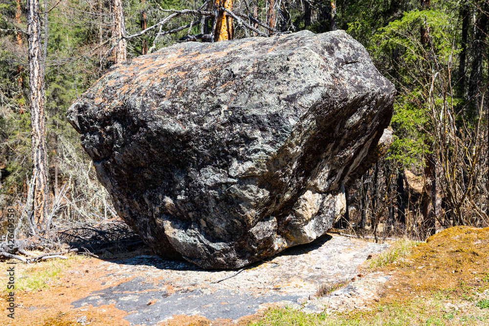 Fototapeta premium a huge boulder stands in the taiga wilderness