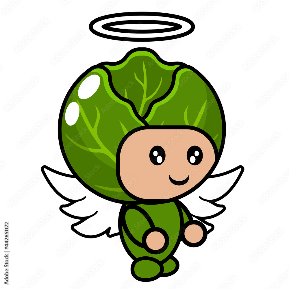 vector cartoon character of cabbage vegetable mascot costume with angel wings