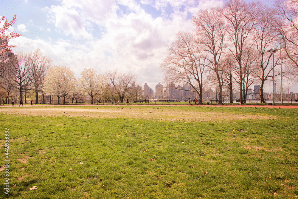Roosevelt Island park view from the NYC skyline.