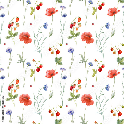 Beautiful seamless floral pattern with hand drawn watercolor gentle wild field flowers cornflower poppy. Stock illuistration.