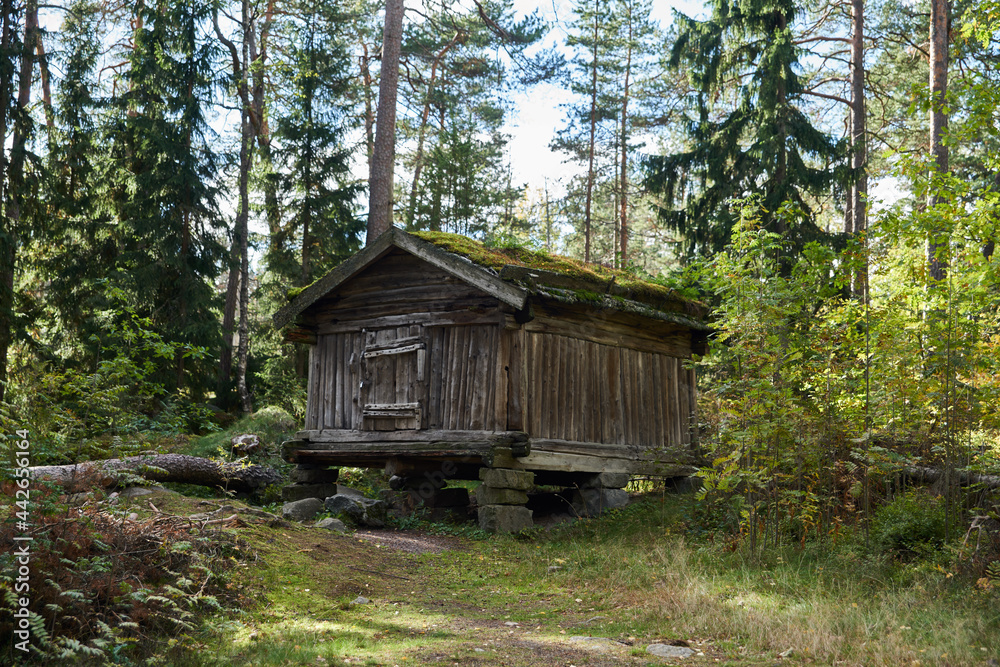 cabin in the woods cabin in the woods