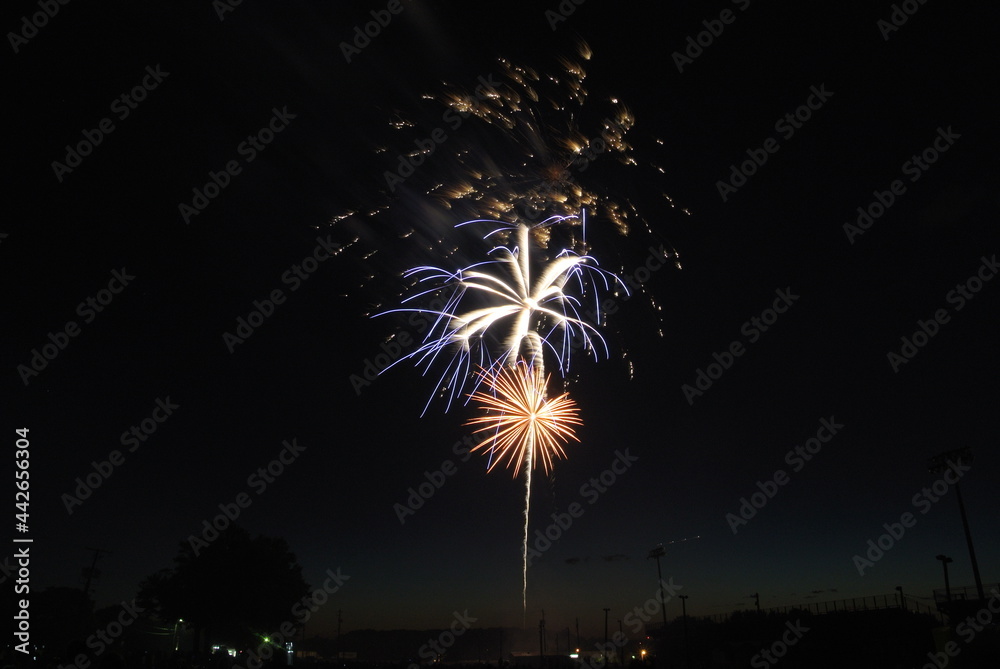 fireworks in the sky