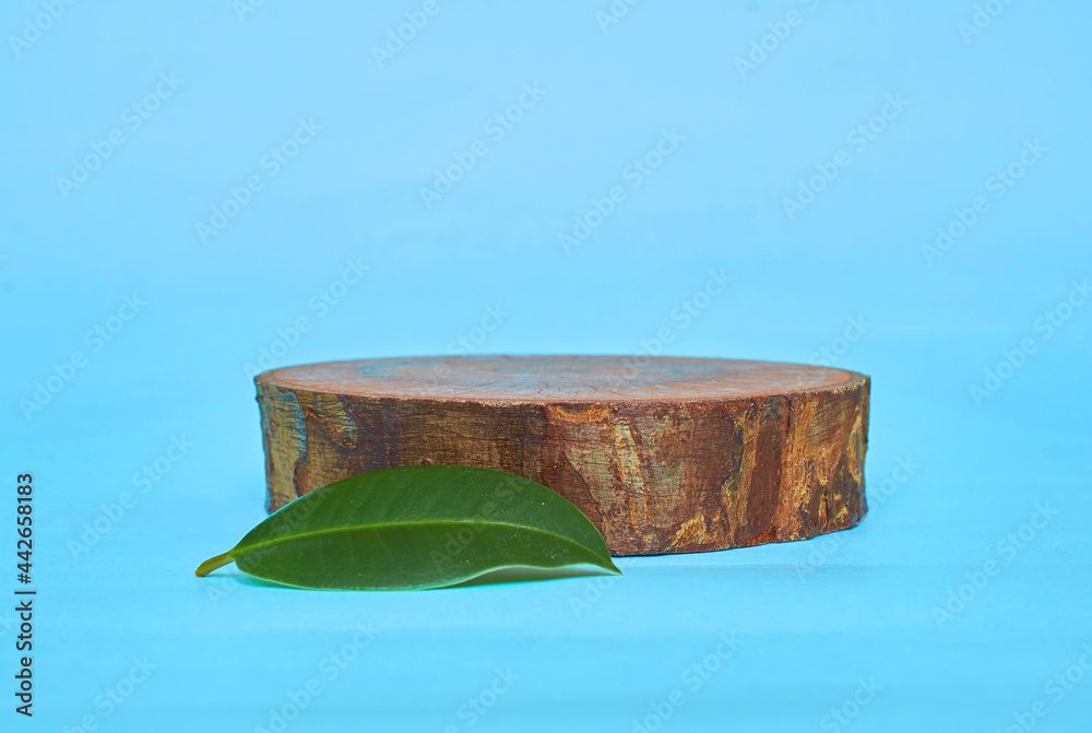 A green ficus leaf and a wooden stand on a blue background